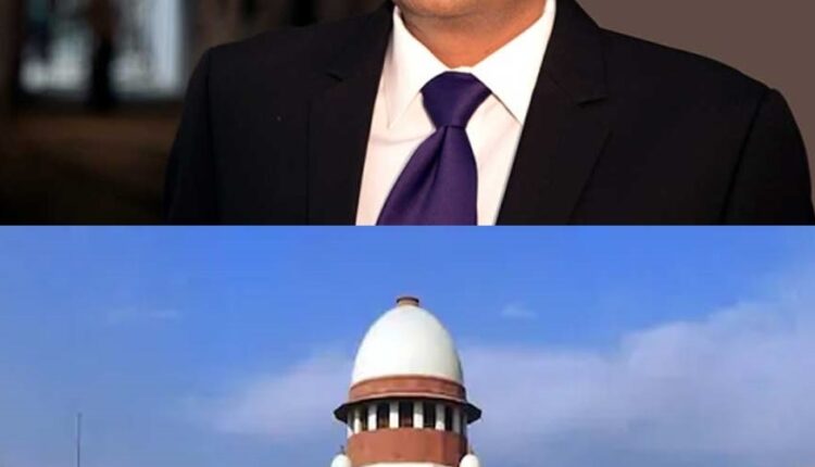 Arnab Goswami and other criminals to be released on interim bail - Supreme Court