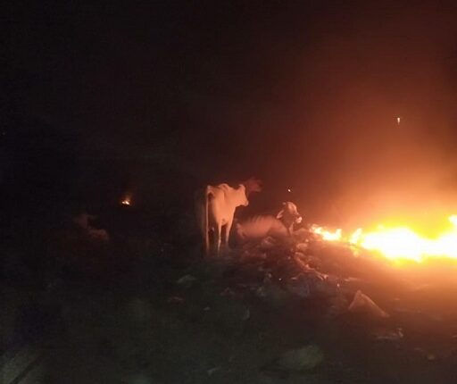 increasing pollution due to fire set up near cows sitting in dirty litter