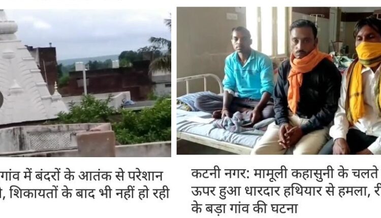 There is a huge panic of monkeys in Bargaon, on the other hand, a bloody conflict between two families in the same village