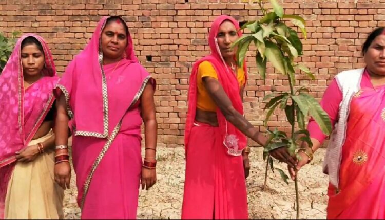 Fatehpur: - On the occasion of 194th Foundation Day of Fatehpur district, Gulabi Gang did democratic plantation.