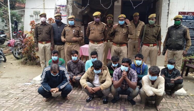 Deoria: Mayal police station showing the most active of the district in curbing animal trafficking, which released the seventh consignment of slaughter animals