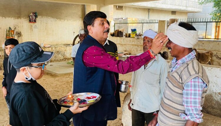 Serving cow increases luck: Happiness