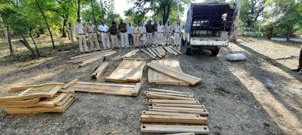 The constant action by forest area officer Suman Parmar created a stir in the forest mafia, raiding the furniture mark shops and seized 60 lamps.