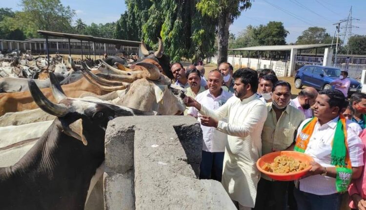 Cow is the mother of the world, only creation will survive if cow is left: MP Simha