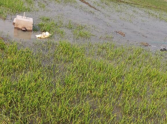 Tubewell operator of tubewell department drowned farmers' crop due to negligence, who will be responsible