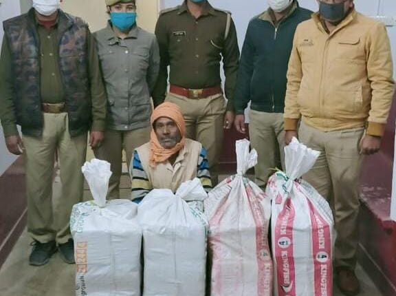132 kg illegal hemp recovered from truck container, 01 accused arrested from the spot