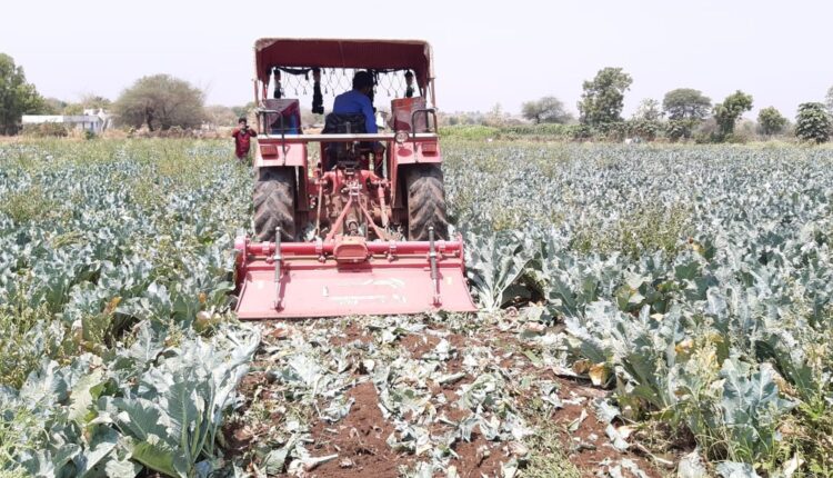 Farmers agitated due to the farmers' agitation, farmers got a standing crop on the farm after getting low prices of vegetables.