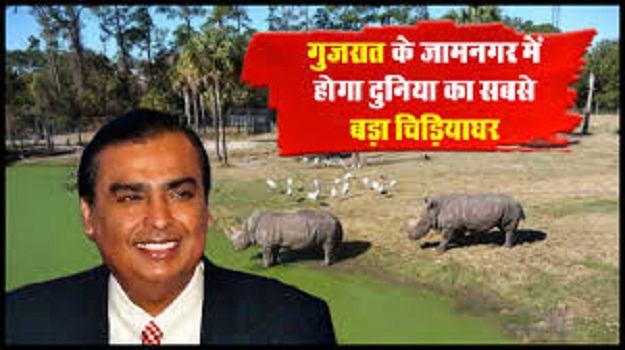 Reliance is building world's largest zoo in Jamnagar, Gujarat