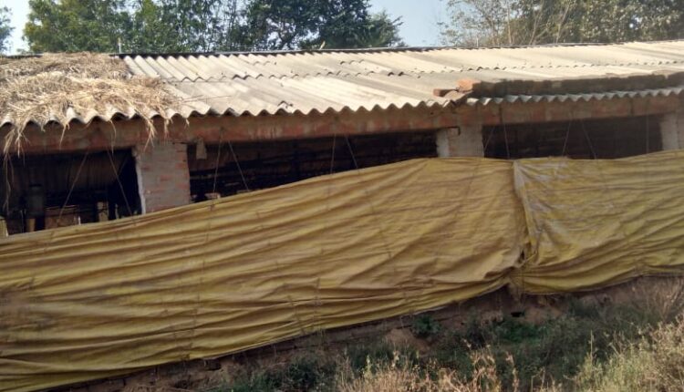 Poultry farming center becomes the cause of rural problems, administration unaware