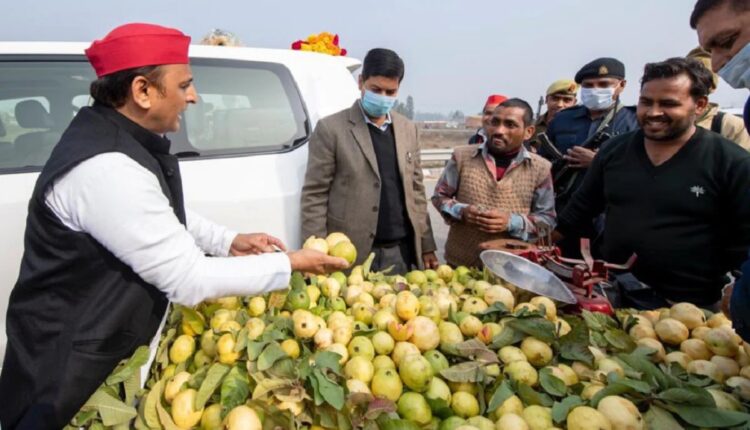 Former CM Akhilesh Yadav tweeted tweet on UP government, saying - Brother, is this guava still called Allahabad or Prayagraj ??