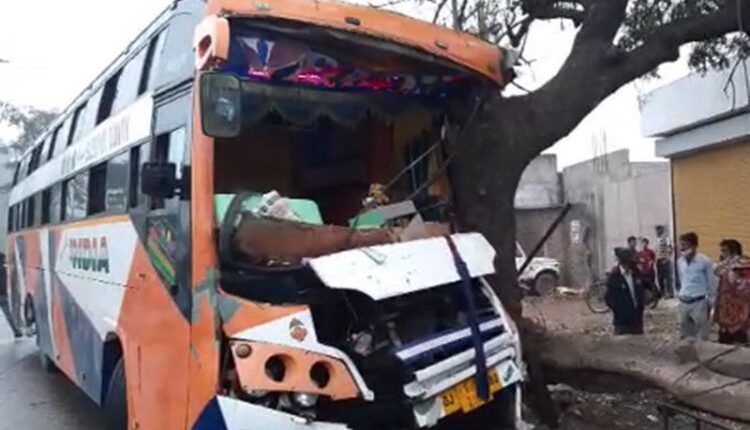 Driver slaps, sleeper bus enters tree, many passengers injured