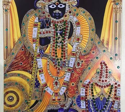 Municipal corporation Mathura (Vrindavan) border increase work in the circle of questions