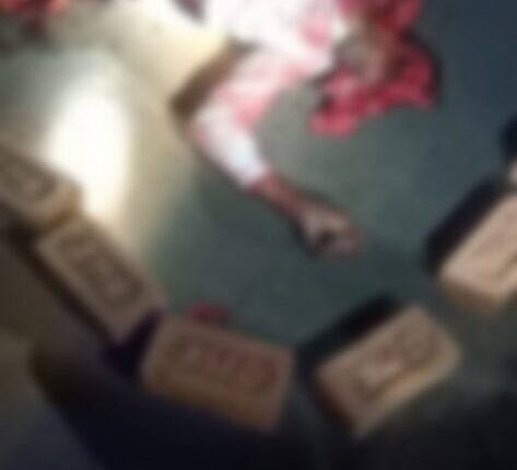 Truck crushes middle-aged at night in Baghmandwa, dies