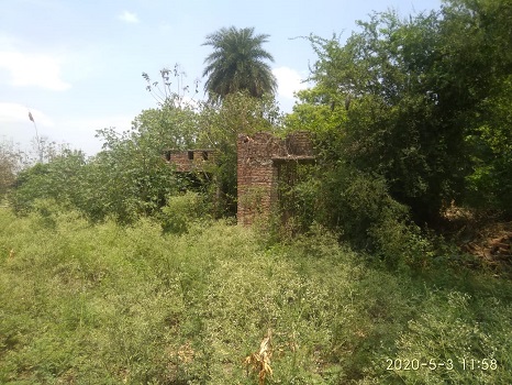 Panchayat building turned into ruins, money was spent