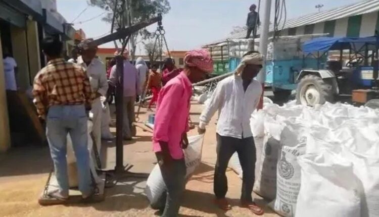 Kosi Agricultural Produce Market has opened 20 purchasing centers, farmers have fixed time limit for purchasing crops