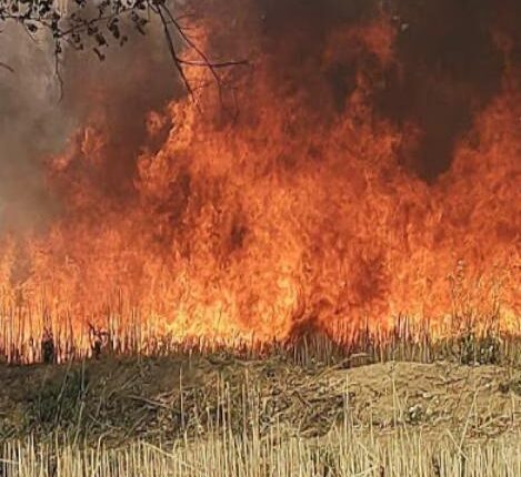 The year-long efforts of farmers in the fire of fire, burning many acres of crops
