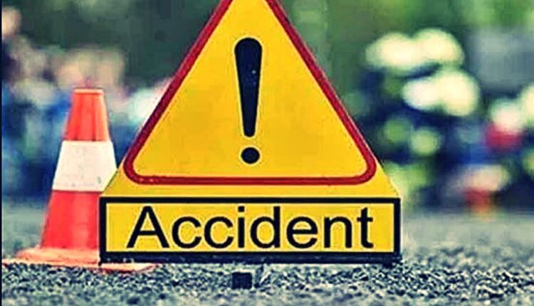 Car crashed into divider to save cow, one killed