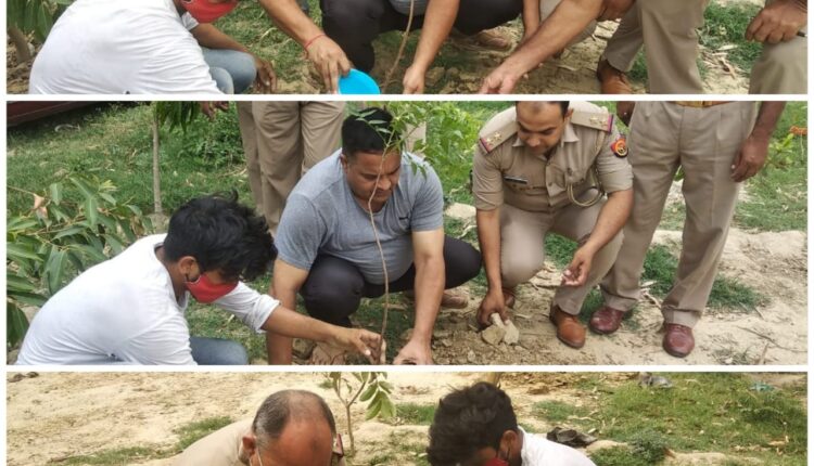 Plantation done in Aliganj Kotwali campus