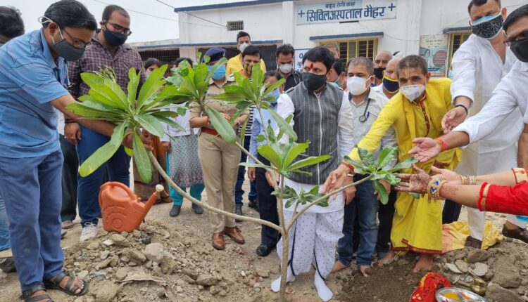 Tree plantation done at Civil Hospital and other places on Environment Day in Maihar