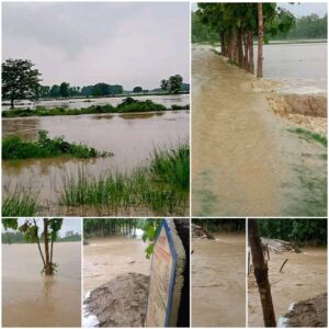 Tedua entered the village after wandering from the forest, injured three people