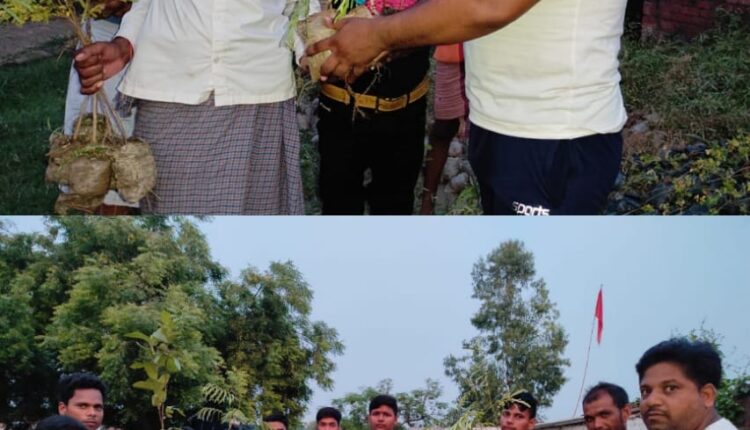 Nature Bio Foods Ltd. The company distributed about thirty thousand trees free of cost.