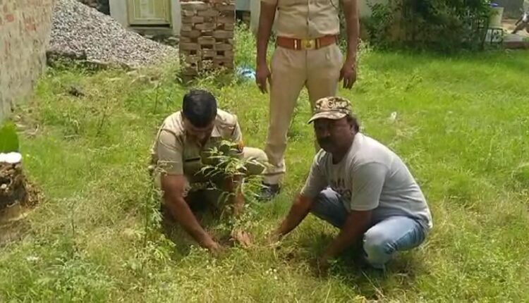 Plantation done to conserve water and save environment on the auspicious occasion of Independence Day