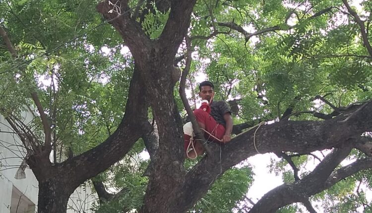 Youth climbed on neem tree with petrol knife or lighter regarding public problems