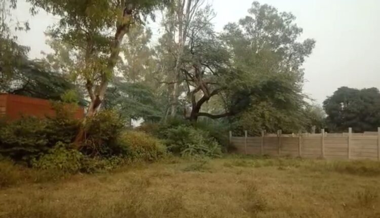 In the pattas to the landless poor, 14 pattas were made by the head of the names of his own family members.