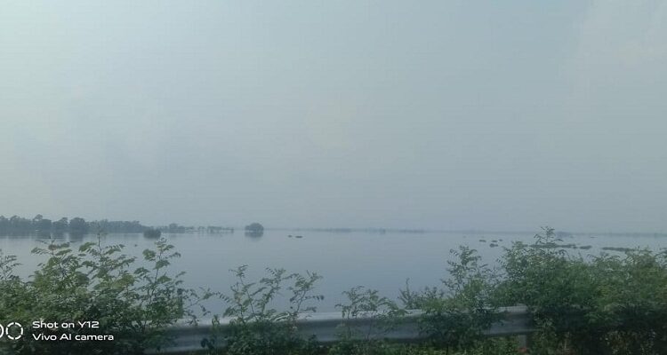 Rohin broke the record of 35 years in the rivers of the district, the scene of destruction was everywhere