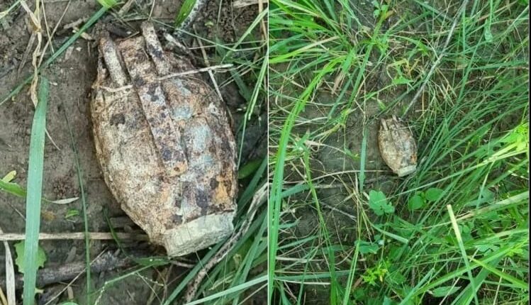 Agra: Hand grenade found in forest, sensation spread in the area, sealed area