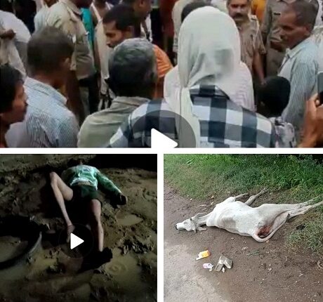 Cow suffering for a week due to truck collision, dead body of young man lying in suspicious circumstances