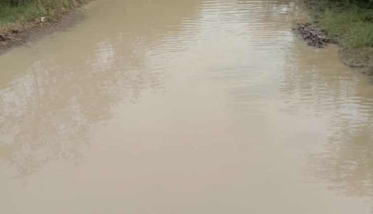 Off-season rains snatched happiness from farmers' faces