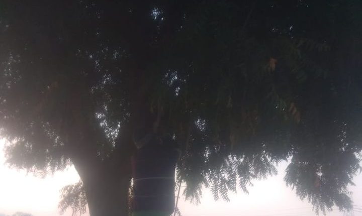 Agra: Dead body hanged from tree after killing young man