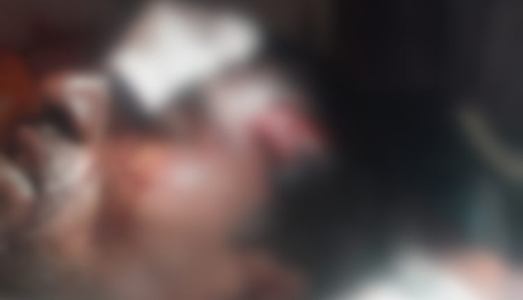 Lion attacked and seriously injured two farmers