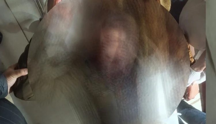 Lucknow: The constable posted at the judge's house was shot in suspicious circumstances, condition critical