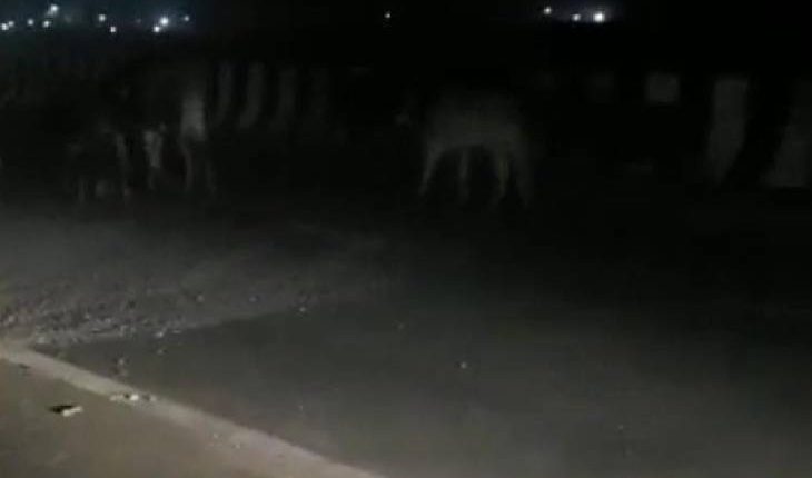 Now UP Police got important responsibility on Purvanchal Expressway, read full news