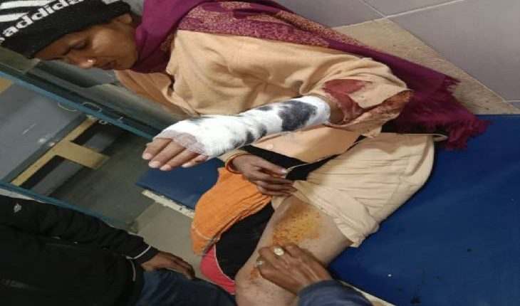 Bullies fired on woman, dispute over land