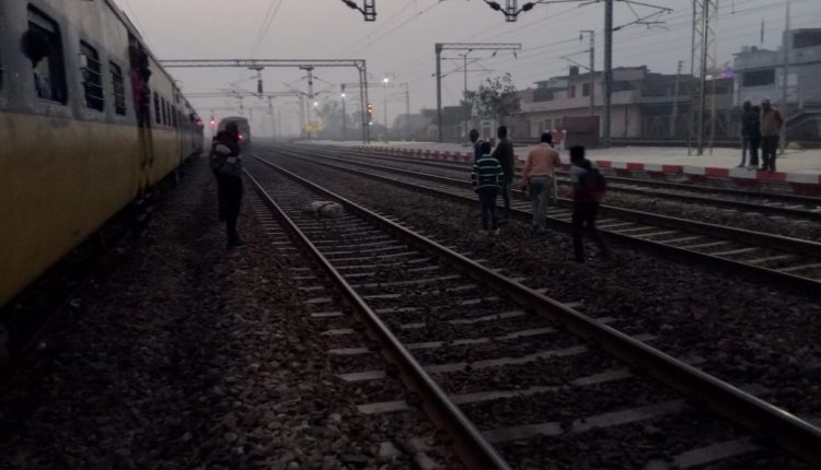 Cow collided with goods train at railway station, goods train standing behind outer