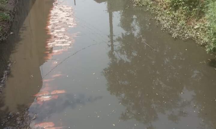 Yuva Ekta Seva Samiti organization complained to the Deputy District Magistrate about waterlogging