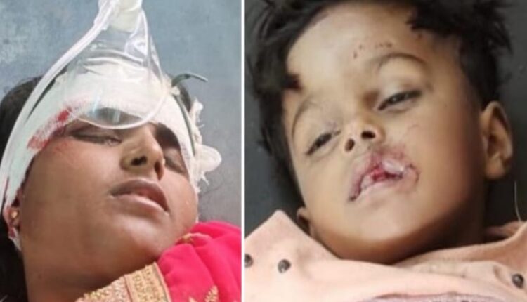 Painful death of bike rider daughter, husband and wife due to roadways bus collision