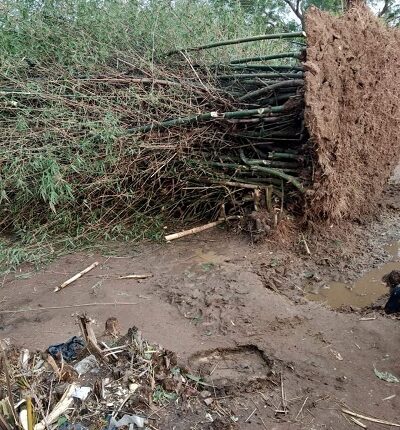 Bihar: Strong winds and storm-rain, more than 27 deaths, a lot of damage