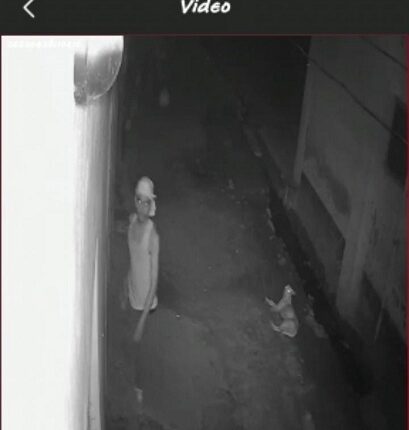 Breaking the CCTV camera, the robbery was done by vandalizing the goods in the lawyer's house