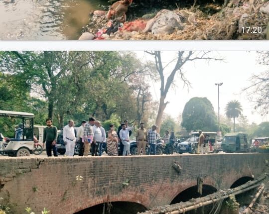 Mayor inspected drain cleaning, gave instructions for cleaning again before monsoon