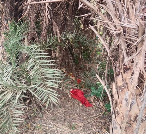 Seeing the daughter in an objectionable condition with her lover, the relatives beat her to death