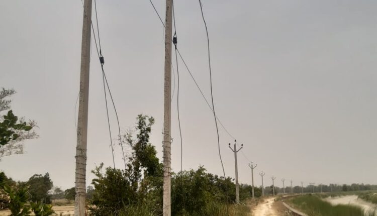 The thieves went away after cutting hundreds of meters of electric wire from the pole, the electricity department has no information