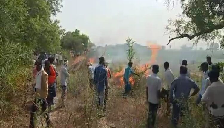 7 devotees died in tractor-trolley collision, treatment of 14 injured continues