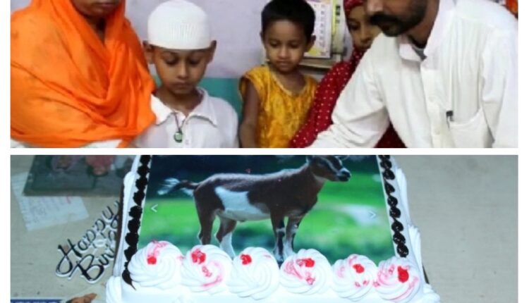 Sherwani made a unique sacrifice by cutting a cake with a goat's picture.