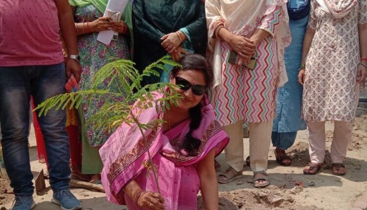 Principal did tree plantation in Krishna Devi Girls College
