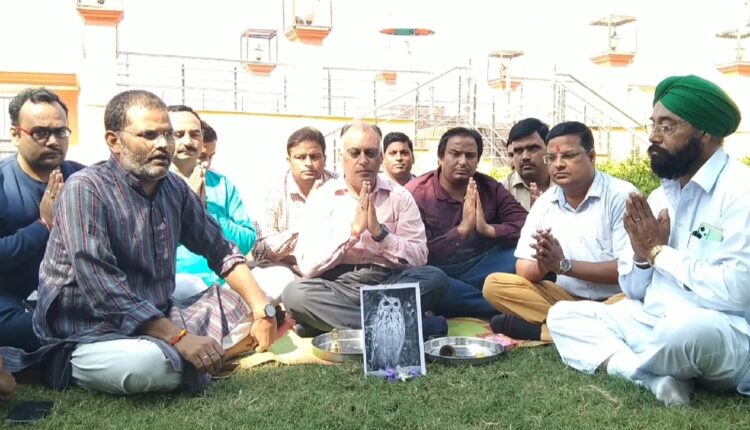 Owl worshiped for the sake of fake food business, weak opposition and global peace