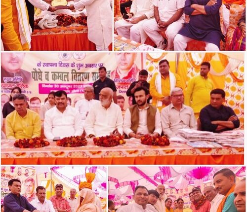 Foundation Day of Tanwar Clean Environment Organization celebrated with pomp